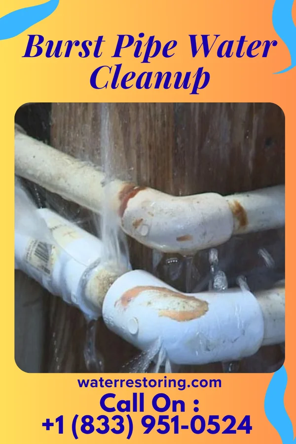 Burst Pipe Water Cleanup in Cañon, NM