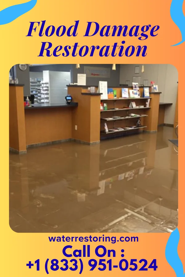 Flood Damage Restoration in Cañon, NM