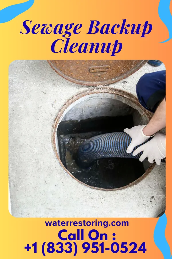 Sewage Backup Cleanup in Cañon, NM