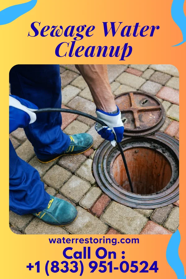 Sewage Water Cleanup in Cañon, NM