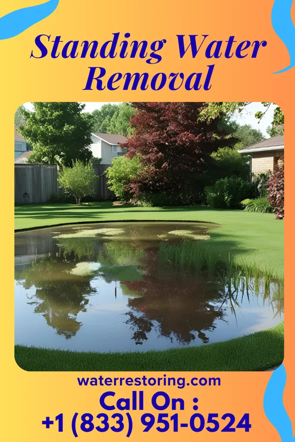 Standing Water Removal in Cañon, NM